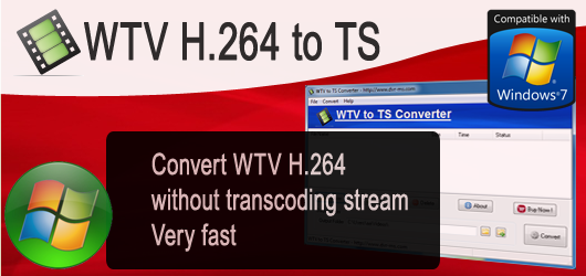 wtv h.264 ts